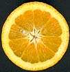 Плод апельсина Тровита